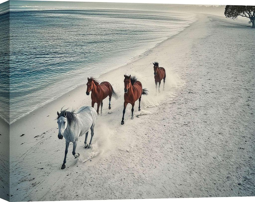Fotografie – Leinwanddruck – Wilde Pferde – 60 x 40 cm