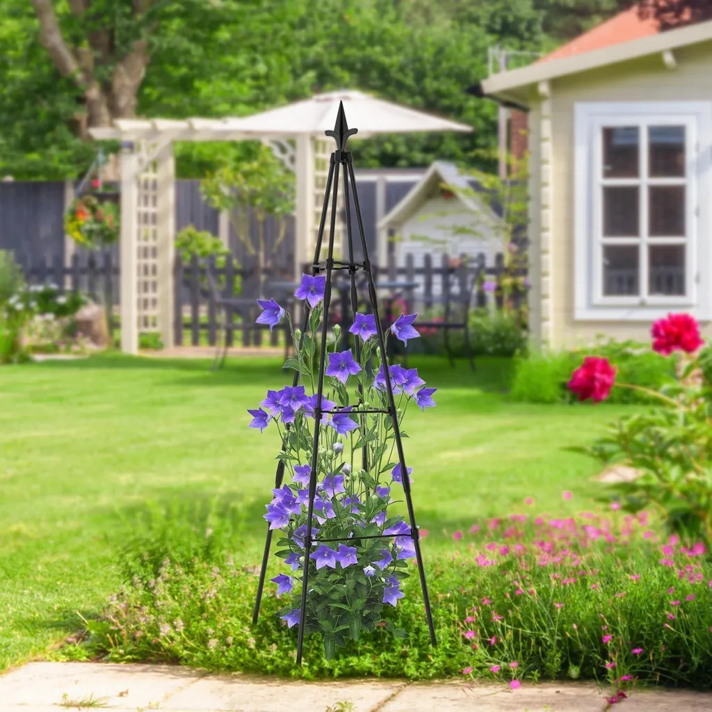 Tuteur Obélisque 120cm pour Balcon et Potager Support de Croissance x4 - 6