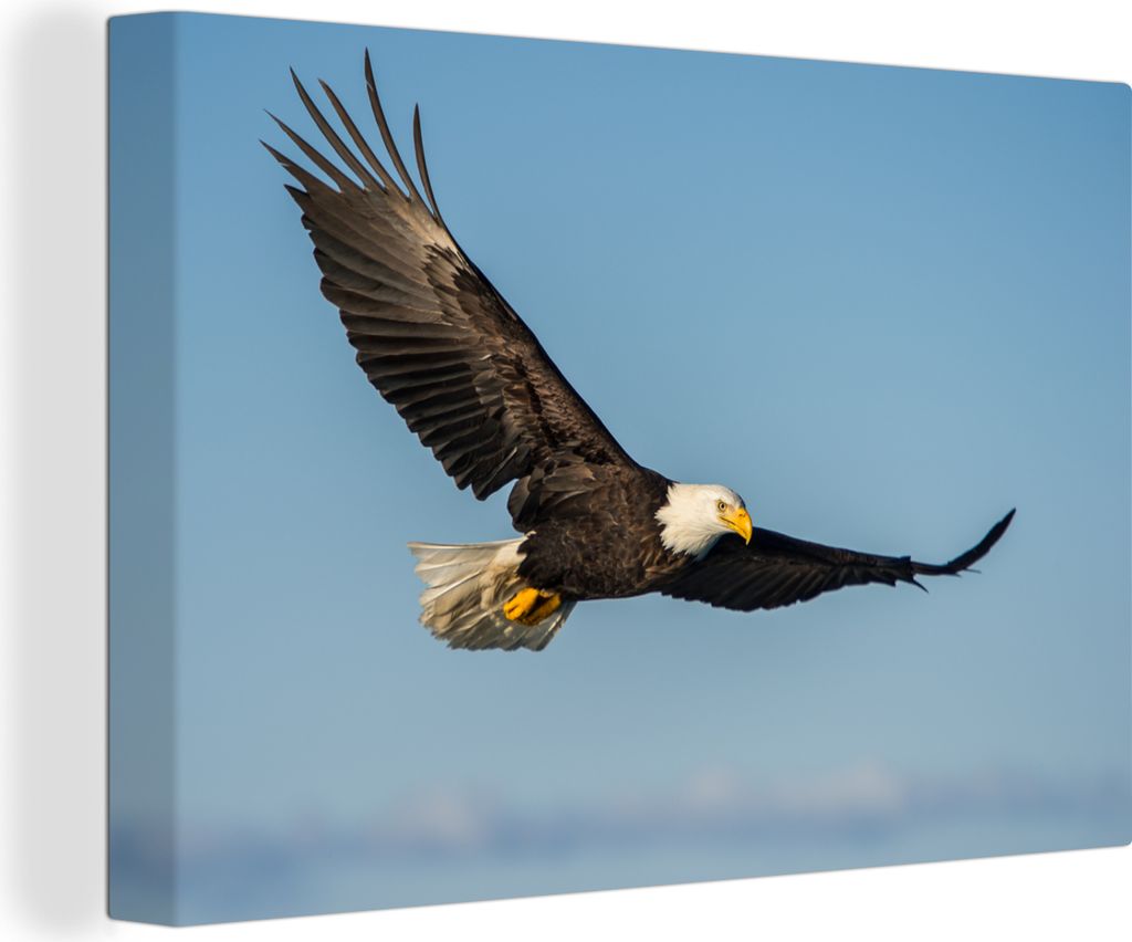 OneMillionCanvasses - Leinwandbilder - 140x90 cm, Vogel - Adler - Raubvögel, Wandbilder Kunstdruck Wanddekoration - Foto auf Leinwand - Gemälde...