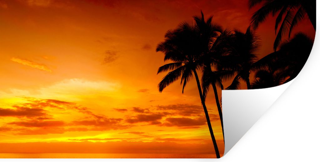 MuchoWow Wandtattoo Wandsticker Wandaufkleber Palme - Sonnenuntergang - Tropisch - Orange - Meer 160x80 cm Selbstklebend und Repositionierbar - S...
