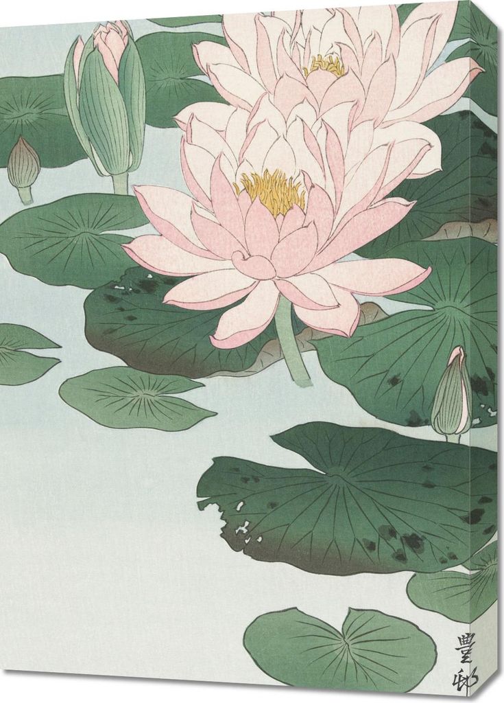 Bild 50x70cm Wasserlilie, Japanischer Koson Vintage für das Wohnzimmer
