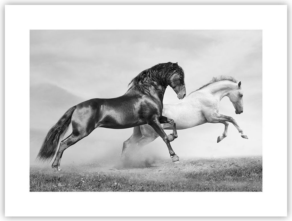 Poster - Poster ohne Rahmen - Pferde Tiere Galopp Wiese - 40x30 cm - Wand Bild - Wanddeko - Wandbilder - Kunstposter - Wandposter - Bilder - Kunstd...