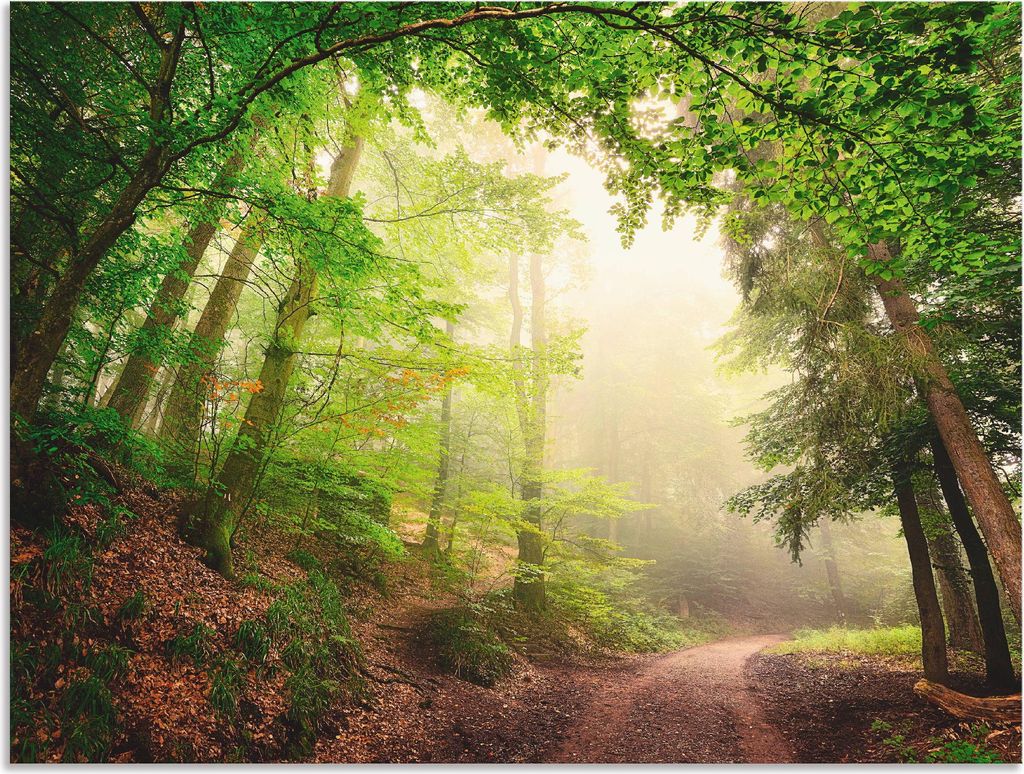 ARTland Wandbild Alu für Innen & Outdoor Natürliche Torbögen durch Bäume Größe: 80x60 cm