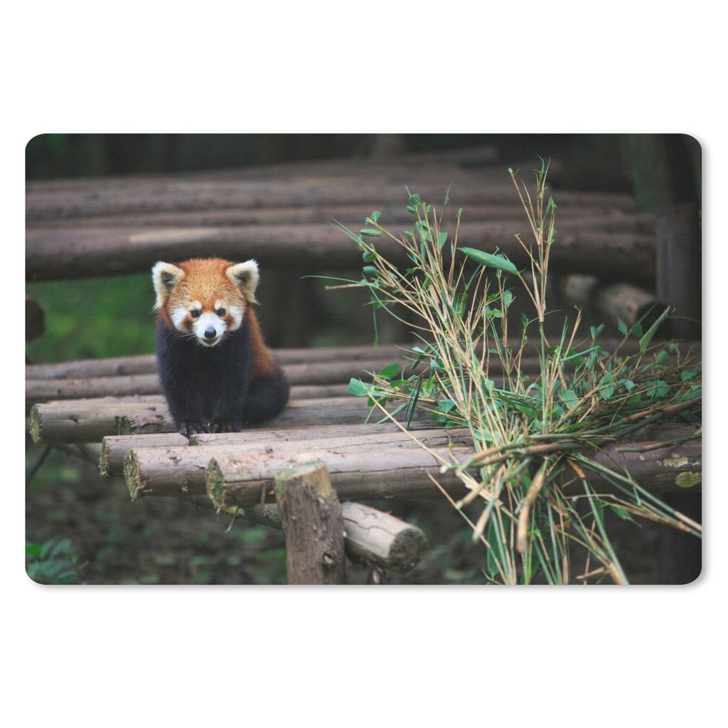 MuchoWow Mauspad Mousepad Roter Panda - Bambus - Baumstämme 27x18 cm - Mousepads - Maus Mat - Pad - Mausunterlage - Büroartikel - Desk Matten