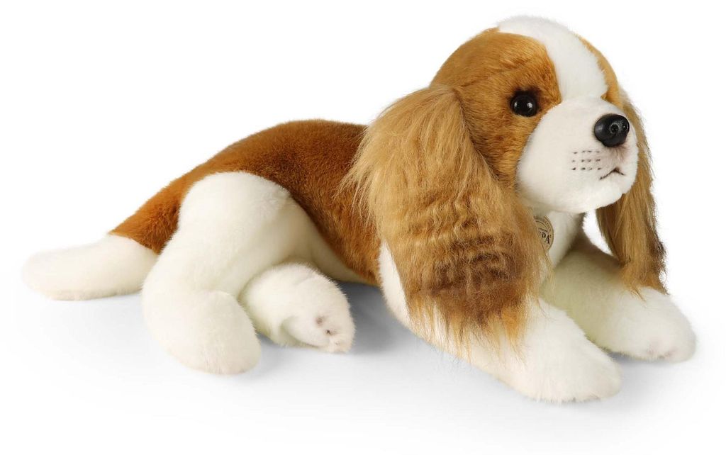 Peluche King Charles Spaniel 40 Cm Ecologique Image du produit 
