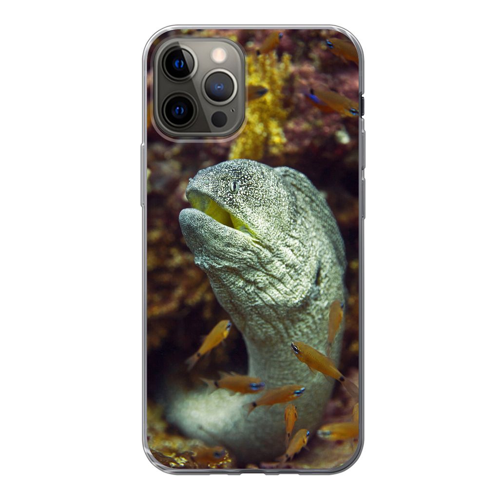 MuchoWow Handyhülle Schutzhülle Hülle für iPhone 12 Pro Fische - Korallen - Ozean Silikon Softcase Handy Hülle - Abdeckung