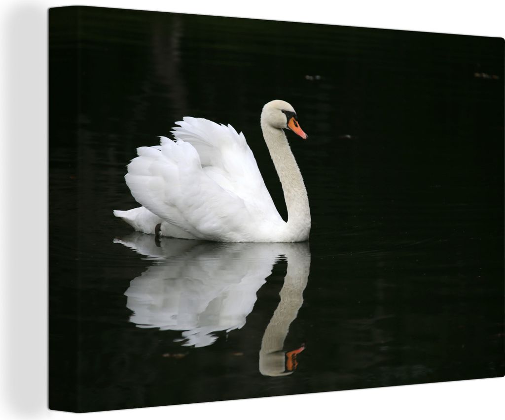 OneMillionCanvasses - Leinwandbilder - 140x90 cm, Schwan - Wasser - Schwarz, Wandbilder Kunstdruck Wanddekoration - Foto auf Leinwand - Gemälde ...
