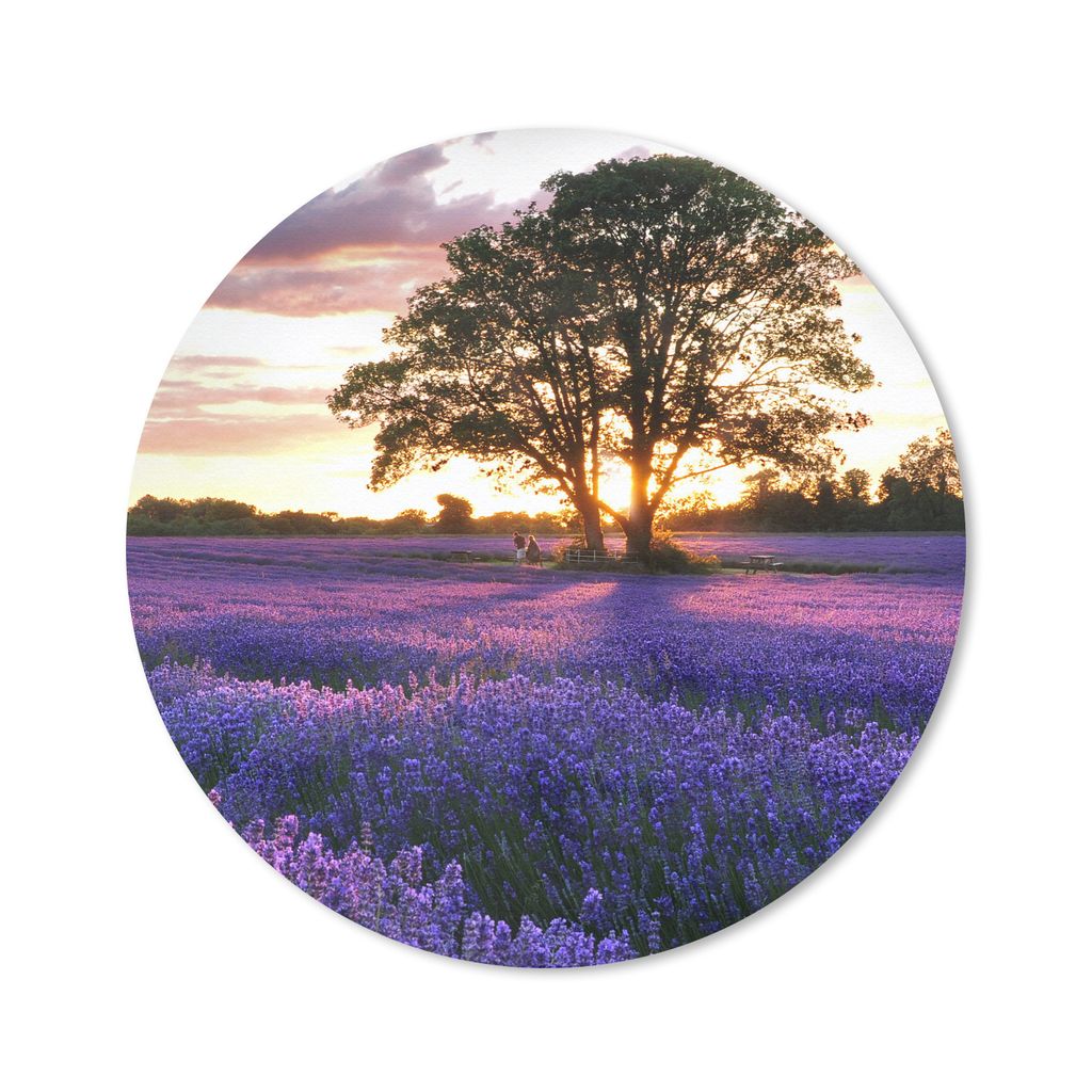 MuchoWow Mauspad Mousepad Lavendelfelder in England bei Sonnenuntergang 40x40 cm - Mousepads - Maus Mat - Pad - Mausunterlage - Schreibtisch Acce...