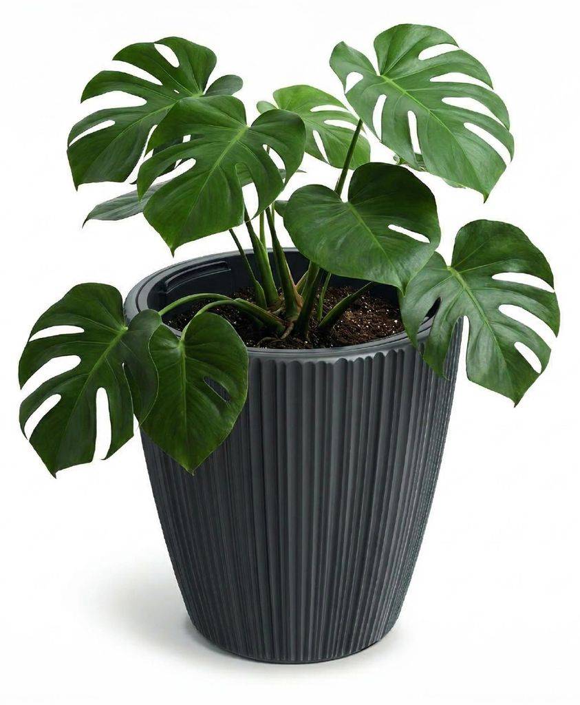 Prosperplast Blumentopf Übertopf Oro herausnehmbar Pflanzeinsatz Pflanzgefäß