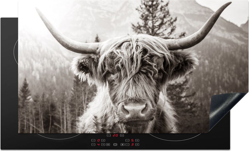 KitchenYeah Herdabdeckplatte Schottischer Highlander - Tiere - Schwarz - Weiß , 91x52cm, Küche Deko, Glaskeramikkochfeld Herdabdeckung, Abdeckp...