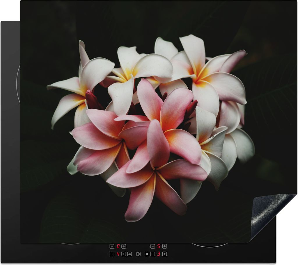 KitchenYeah Herdabdeckplatte Blumen - Rosa - Schwarz - Flora - Botanisch , 59x51cm, Küche Deko, Glaskeramikkochfeld Herdabdeckung, Abdeckplatte ...