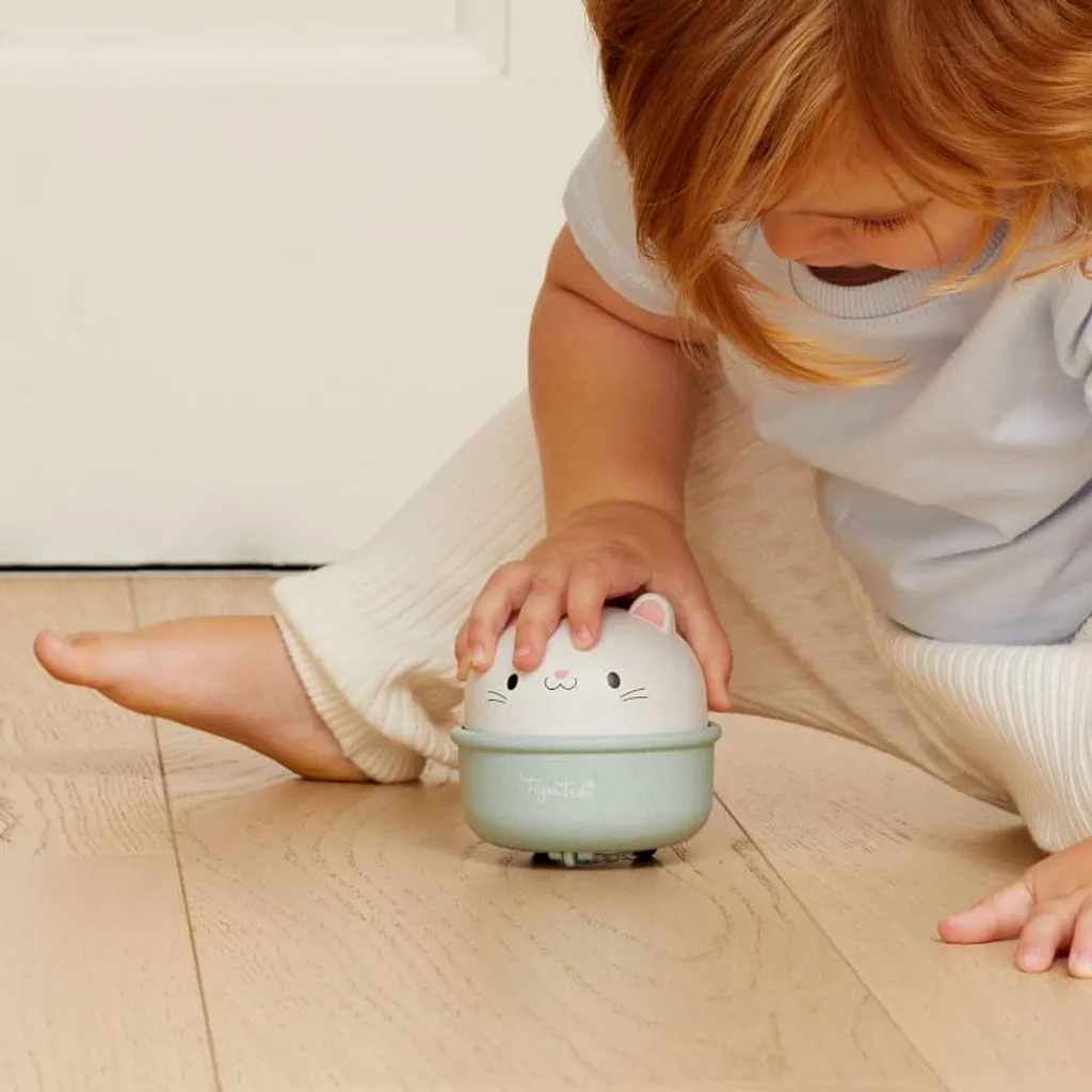 Selecta Swing Roller Chat : Jouet d'Éveil Interactif en Bois Naturel