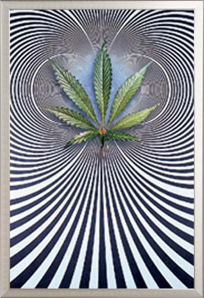 Poster Op Leaf Virtual cadre Shinsuke alu argenté et vitre acrylique pro