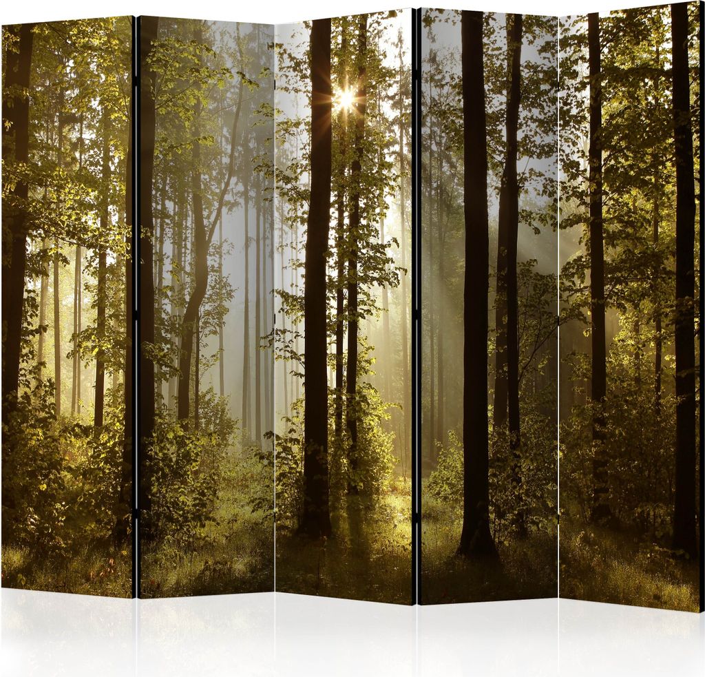 Akusticher Raumteiler Wald Foto Paravent 225x172 cm beidseitig auf Vlies-Leinwand bedruckt Akustikschaum Trennwand Spanische Wand Sichtschutz Home ...