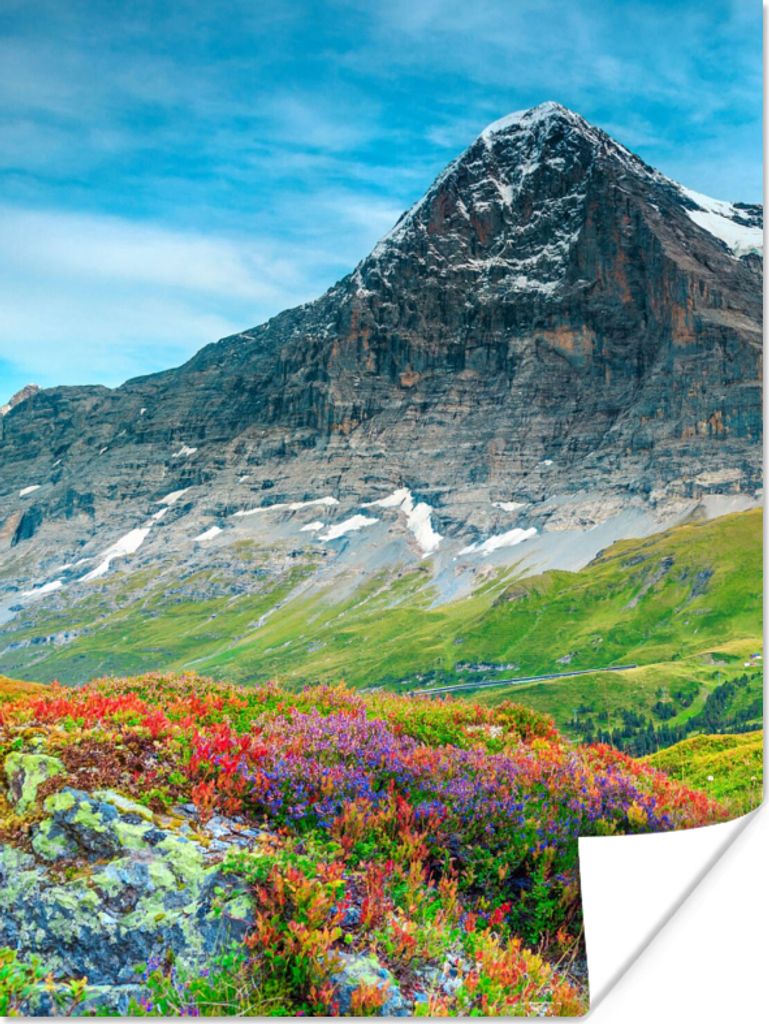 MuchoWow Poster Blumen - Berge - Schnee - Landschaft 60x80 cm - Schlafzimmer Dekoration
