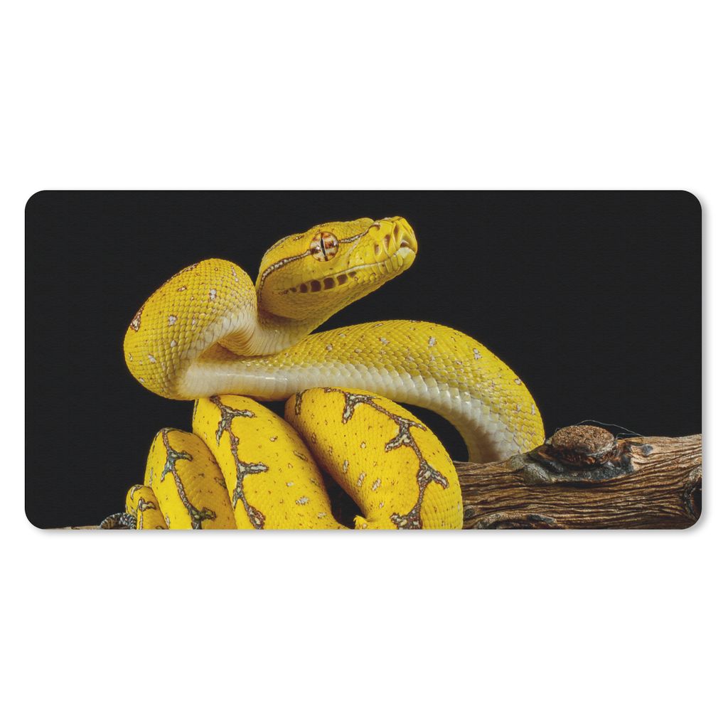 MuchoWow Schreibtischunterlage Schlange - Zweig - Gelb 80x40 cm - XXL Mauspad - Gaming Mauspad