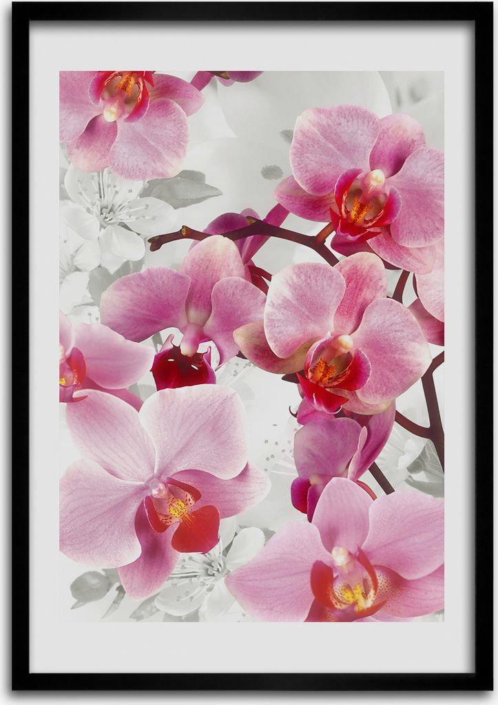 Bild - Bilderrahmen - 50 cm x 70 cm - MDF - Rahmen - Wandkunst Rosa Orchidee