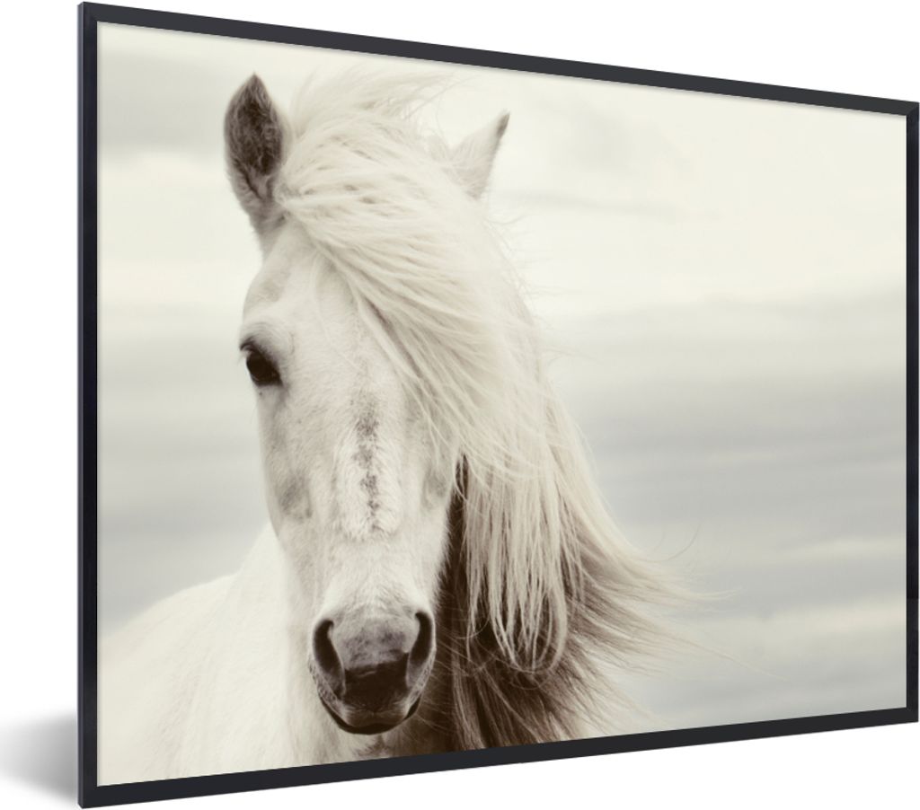 MuchoWow Gerahmtes Poster Pferd - Strand - Mähne 40x30 cm - Poster mit Schwarzem Bilderrahmen Wandposter Rahmen Foto Bilder - Kunstposter - Wand...