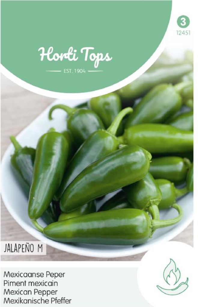 Samen -MEXIKANISCHE PEPPER JALAPENO CHILLI