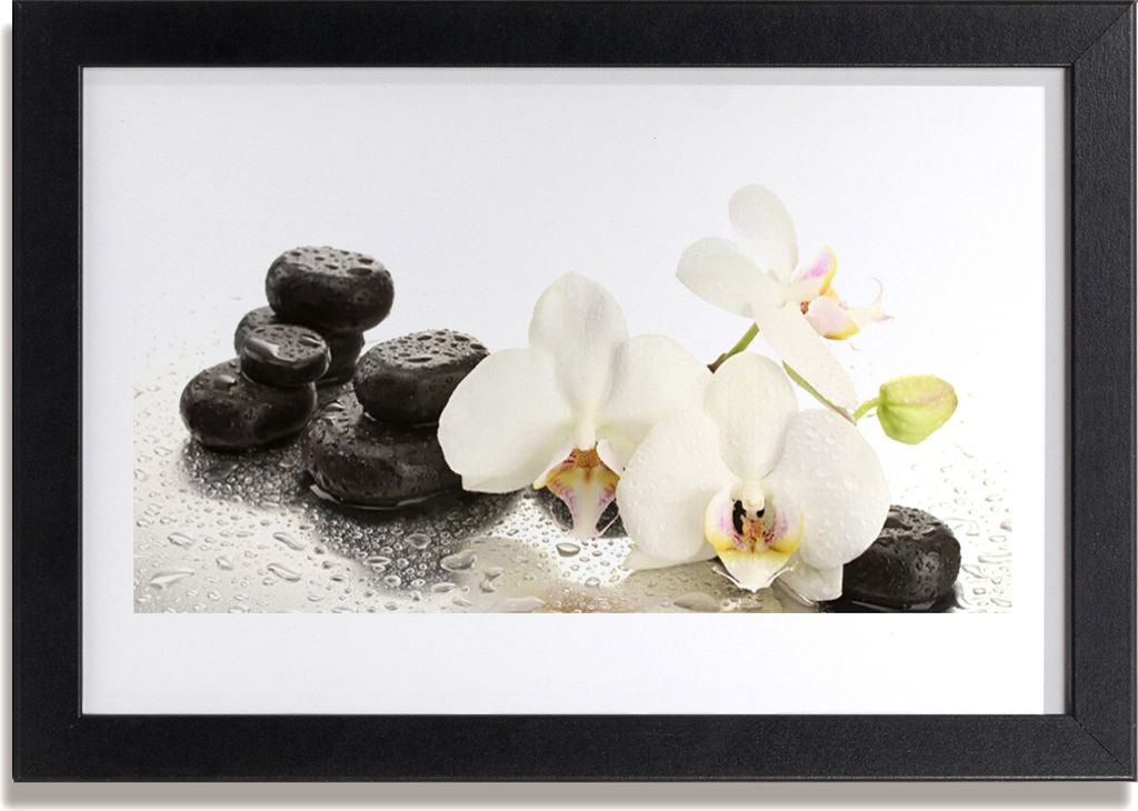 Bild 30x20 MDF-Rahmen Wandkunst Stein Blume Pflanze