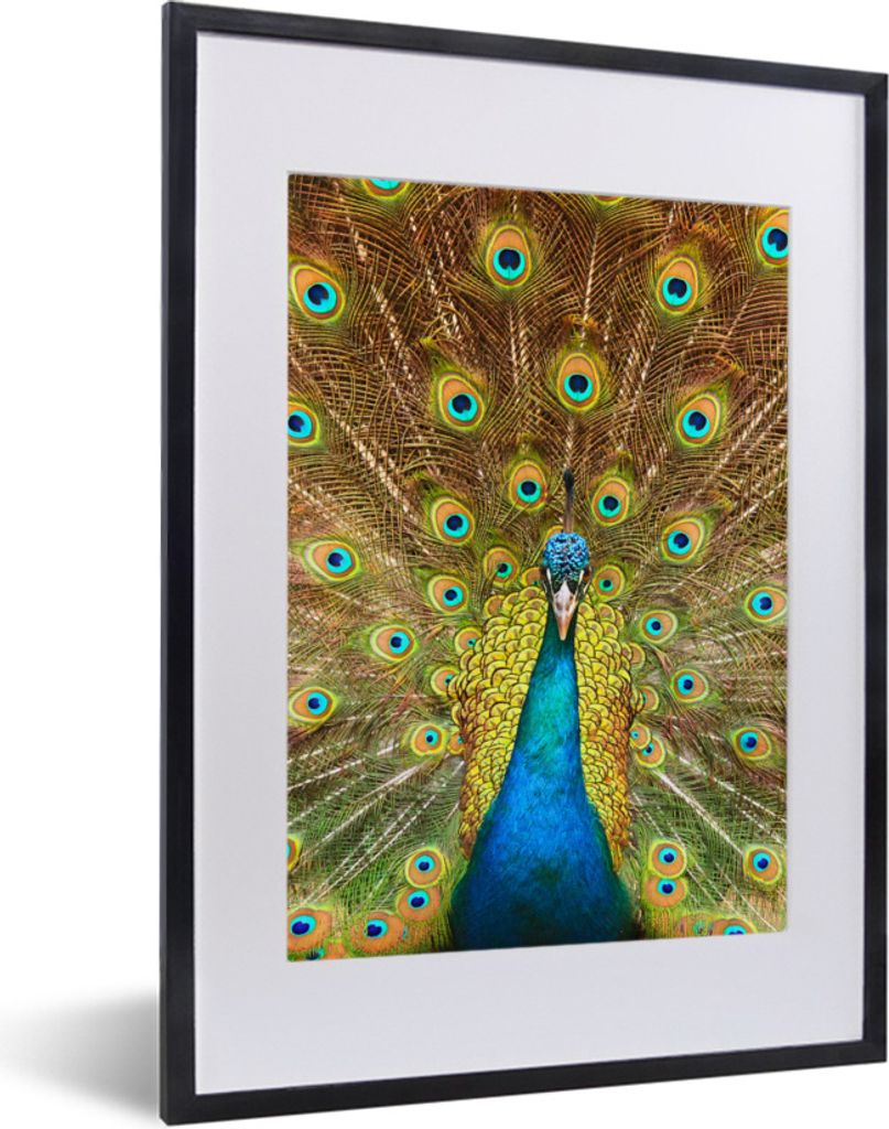 MuchoWow Gerahmtes Poster Pfau - Vogel - Blau 30x40 cm - Poster mit Schwarzem Bilderrahmen Wandposter Rahmen Foto Bilder - Wandposter Schlafzimmer