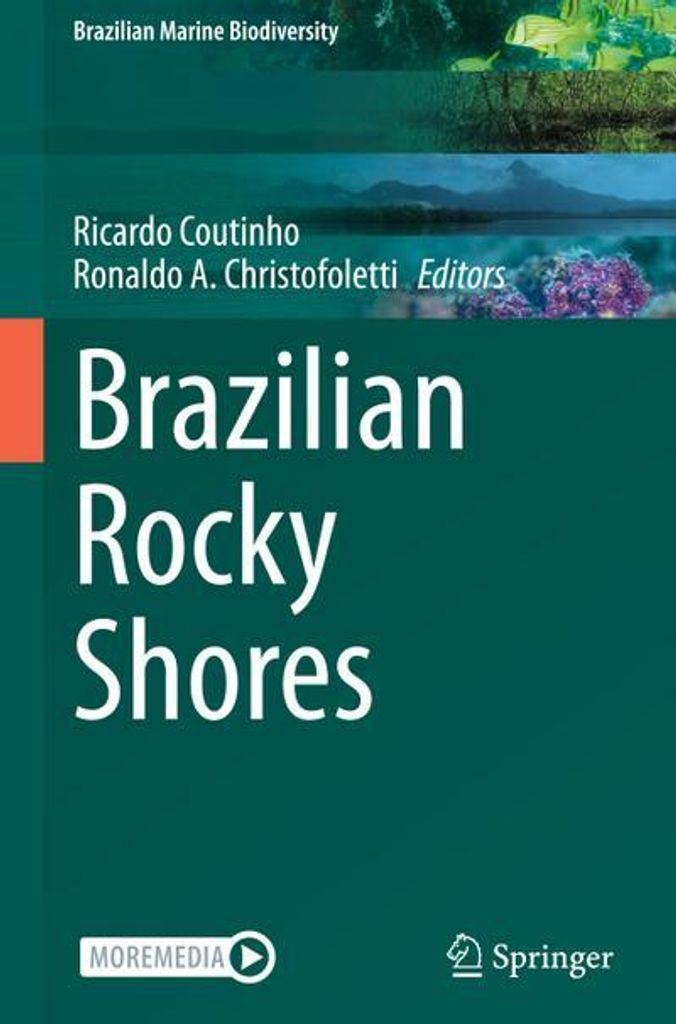 Brazilian Rocky Shores