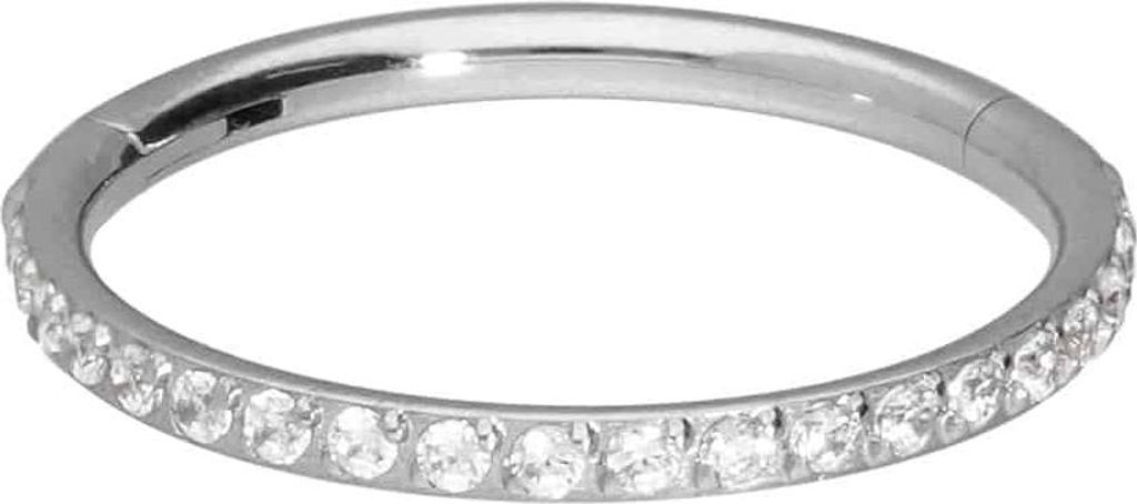 Ohrpiercing, Nasenpiercing, Septum Piercing Titan Segmentring Clicker EINGEFASSTE KRISTALLE Silber Innendurchmesser: 6mm + Stabstärke: 0,8mm