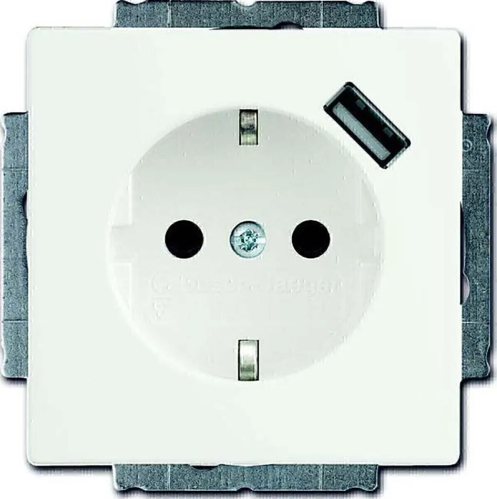 Prise de courant avec USB intégré Busch-Jaeger 20 EUCBUSB-884 Schuko