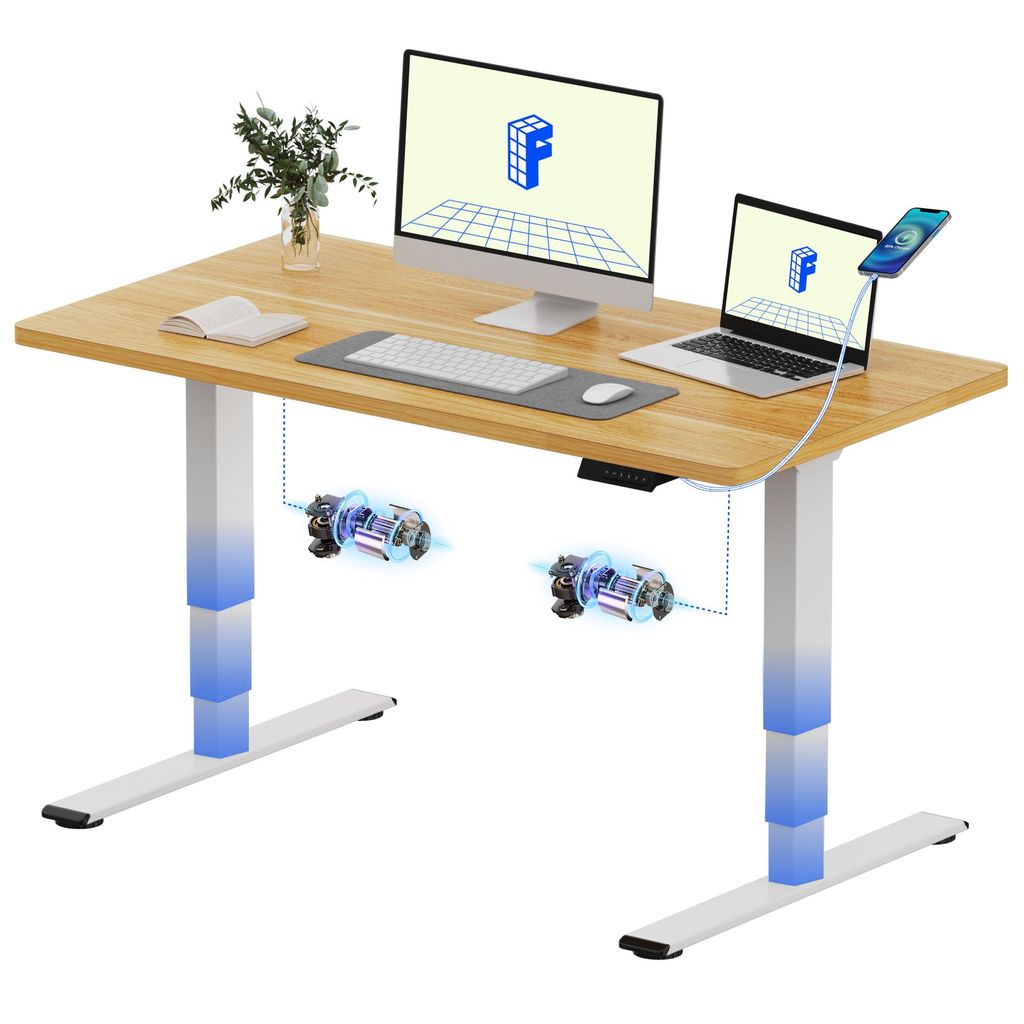 FLEXISPOT E5 Höhenverstellbarer Schreibtisch 120x80cm, Doppelmotor, 25MM EINTEILIGE TISCHPLATTE, USB-Anschluss, 120KG Tragkraft, Ahorn