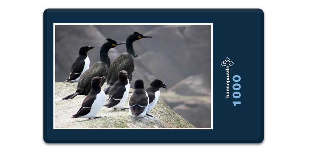 hansepuzzle 15153 - Kormoran Puzzle, 1000 Teile, Tierwelt, 60,0 x 46,0cm mit hochwertiger Aufbewahrung, Kartonbox und wiederverschließbarem Beutel