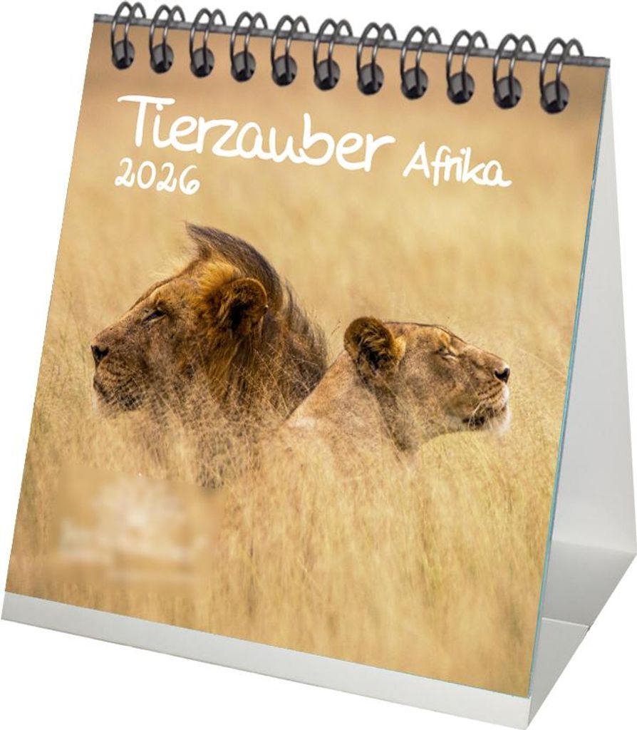 Tierzauber Afrika Tischkalender 10cm x 10cm für 2026 Tiere aus Afrika - Geschenkset Inhalt: 1x Kalender 1x Weihnachtsanhänger 1x Grußanhänger (...