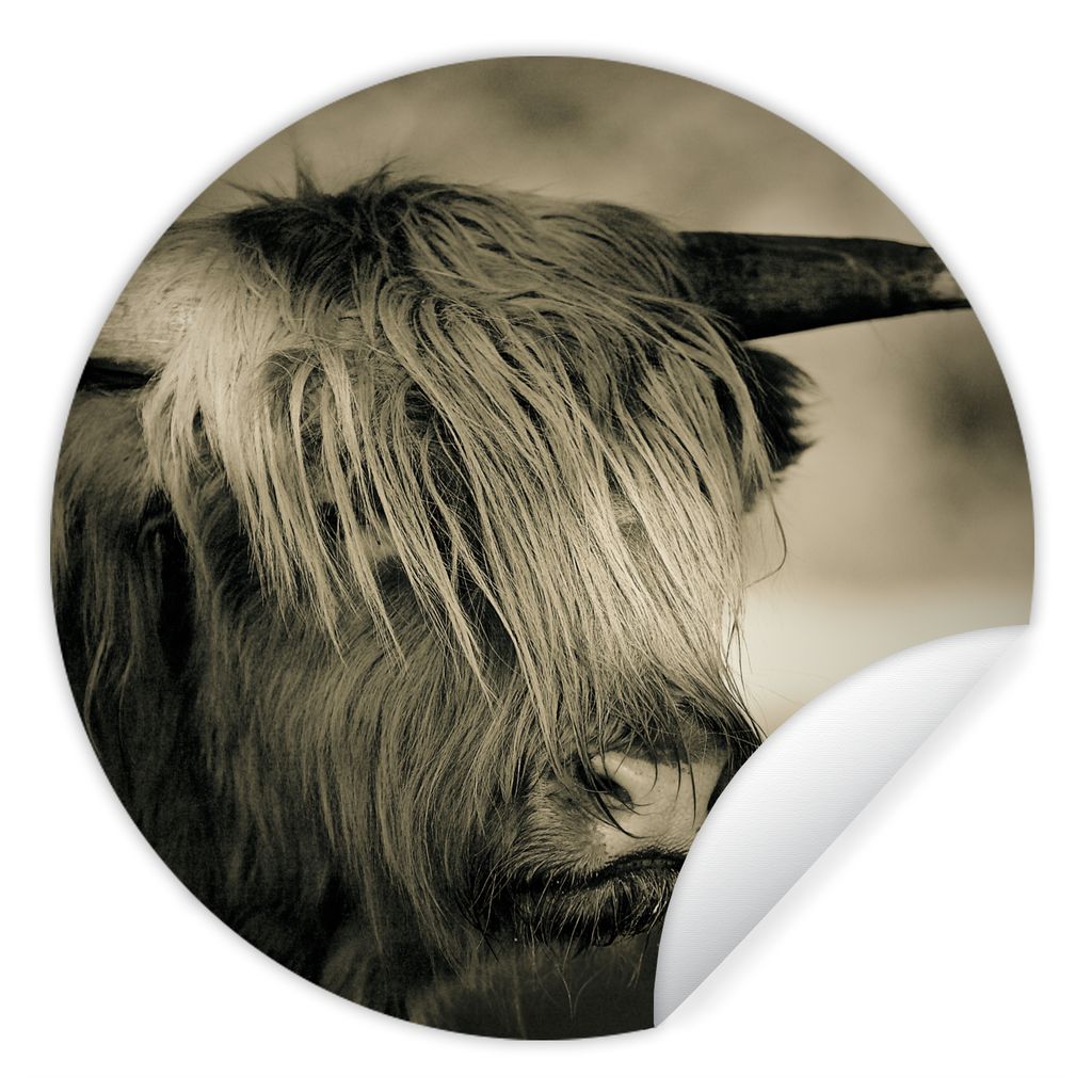 MuchoWow Runde Wandtattoo - Wandsticker Tapete Aufkleber Schottischer Highlander - Tiere - Haare Ø 80 cm Selbstklebend und Repositionierbar - Wa...