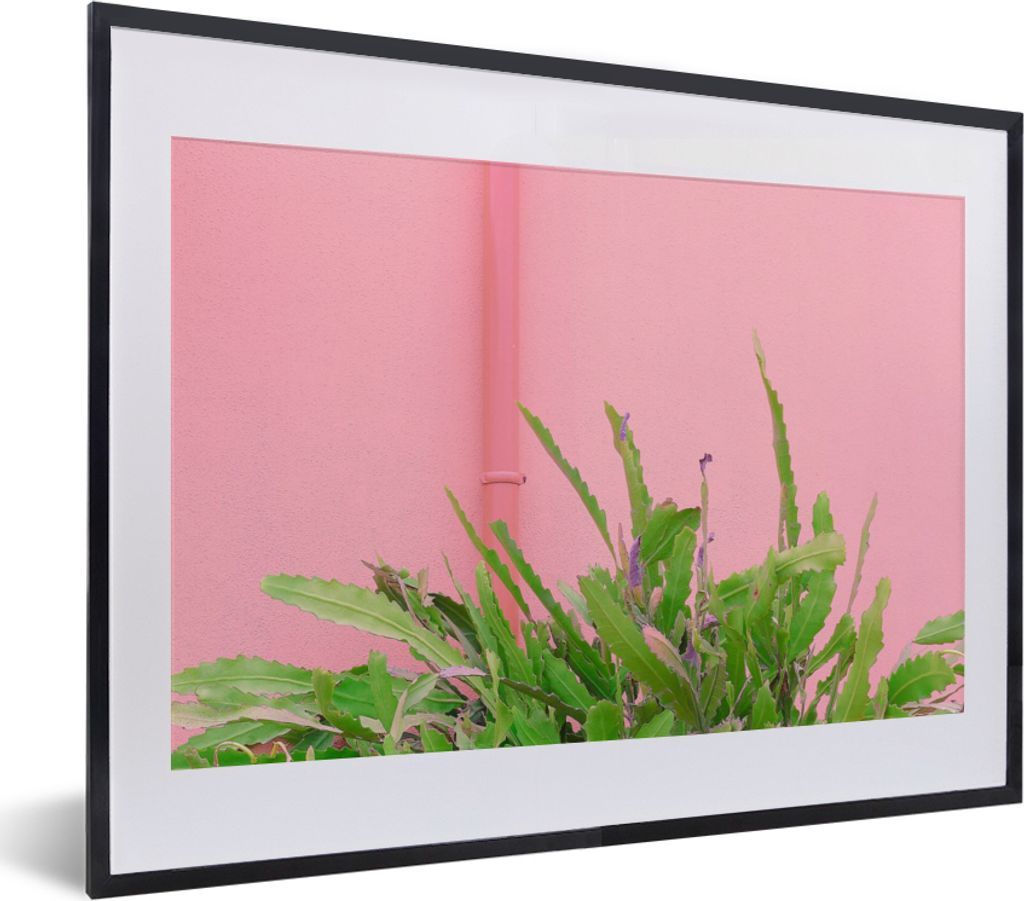 MuchoWow® Gerahmtes Poster Pflanze - Sommer - Rosa 40x30 cm Produktbild 