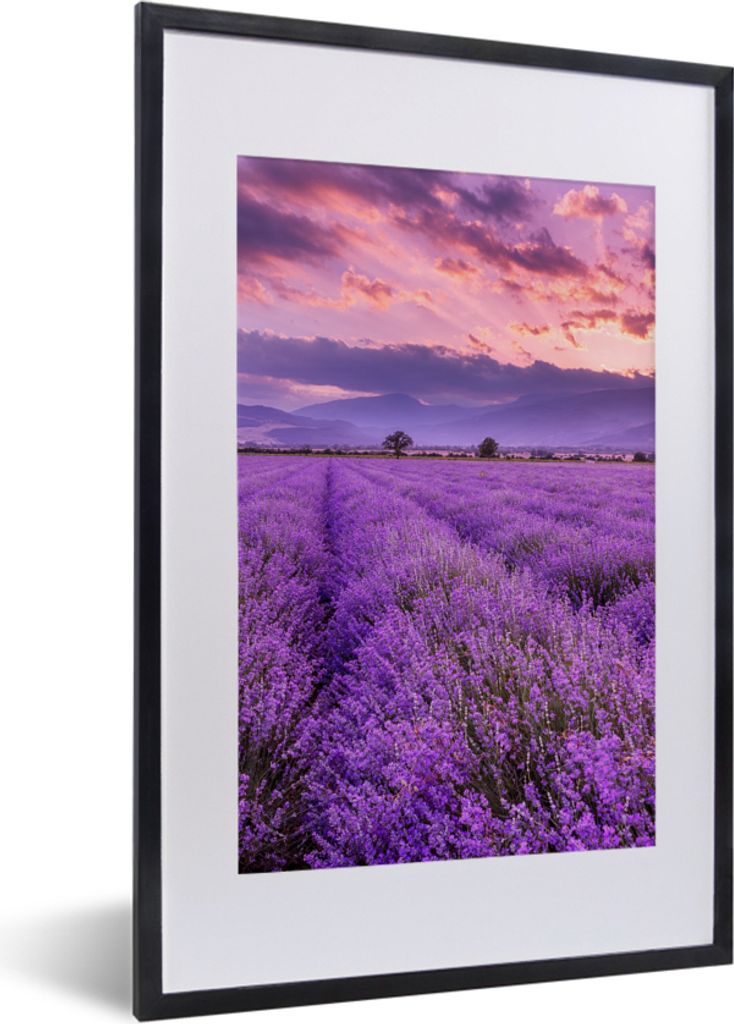 MuchoWow Gerahmtes Poster Lavendel - Lila - Blumen - Feld 40x60 cm - Poster mit Schwarzem Bilderrahmen Wandposter Rahmen Foto Bilder - Poster in ...