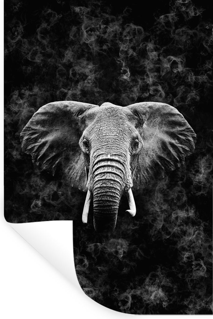 MuchoWow Wandtattoo Wandsticker Wandaufkleber Elefant zwischen Rauchwolken - schwarz und weiß 20x30 cm Selbstklebend und Repositionierbar - Stic...