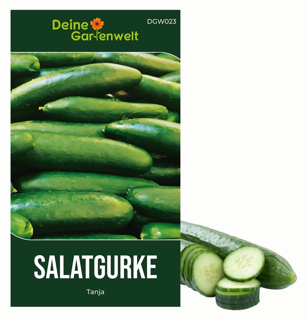 Salatgurke Tanja Samen - Cucumis sativus - Gurkensamen - Gemüsesamen - Saatgut
