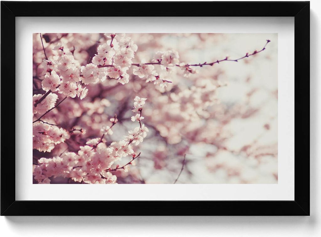 Blühende Frühlingsblumen– Wandbild mit Rahmen – Gerahmtes Bild – Wanddekoration – 30x20 cm – Schwarz Rahmen