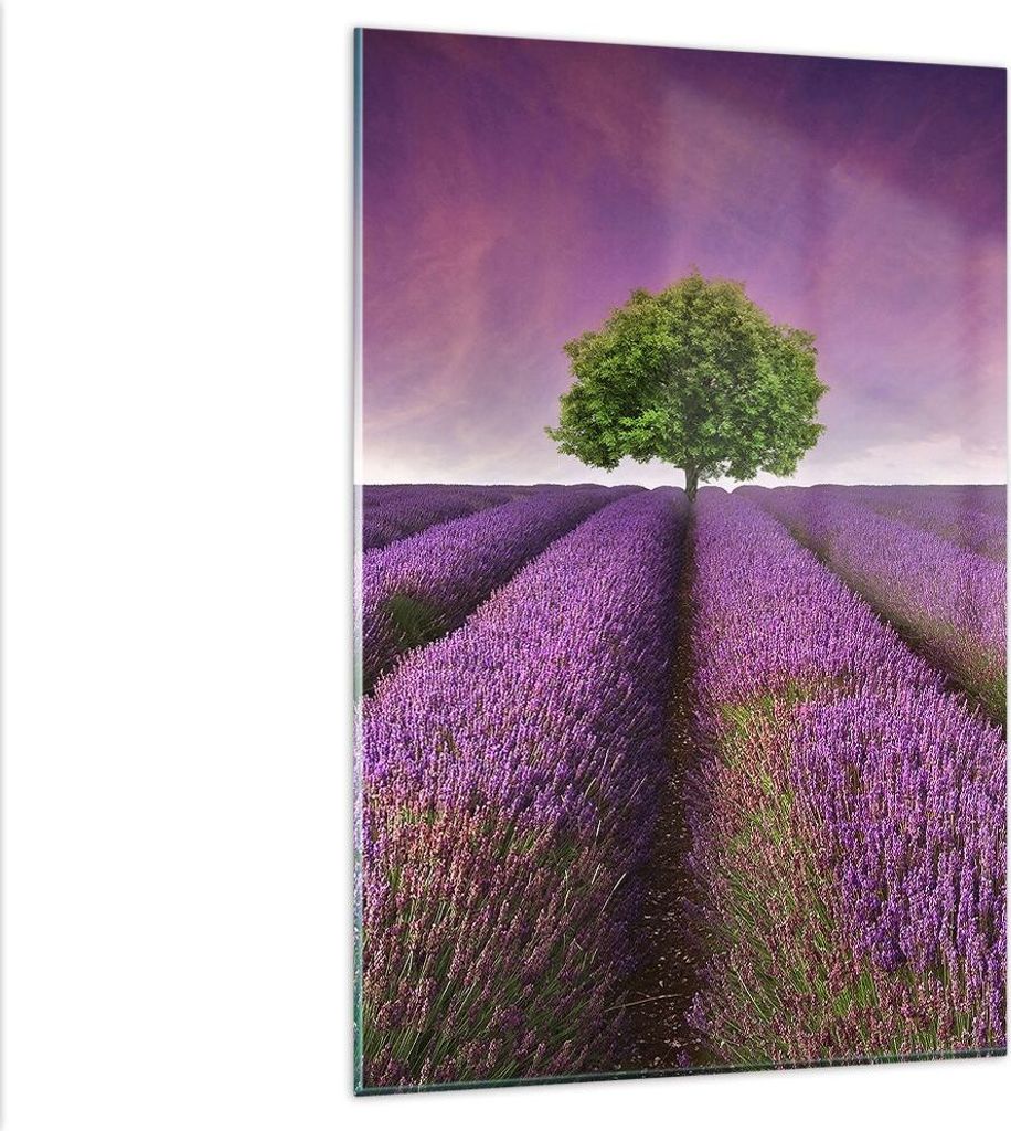 Bilder auf glas - Einteilig - Wiese lavenda Sommer Landschaft - 80x120cm - Glasbilder - Wandbilder - Bilder - Wanddekoration aus Glas - Glas Bilder...