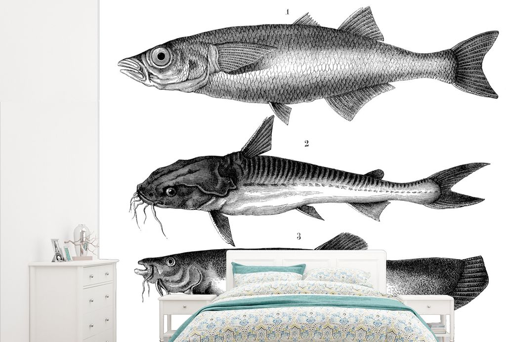 MuchoWow Fototapete für Wohnzimmer oder Schlafzimmer Wandtapete Vinyl Motivtapete Eine schwarz-weiße Illustration von drei Fischen - 265x220 cm...