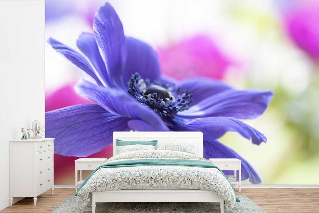 MuchoWow Fototapete für Wohnzimmer oder Schlafzimmer Wandtapete Vinyl Motivtapete Lila Anemone in der Sonne - 600x400 cm - Vinyltapeten