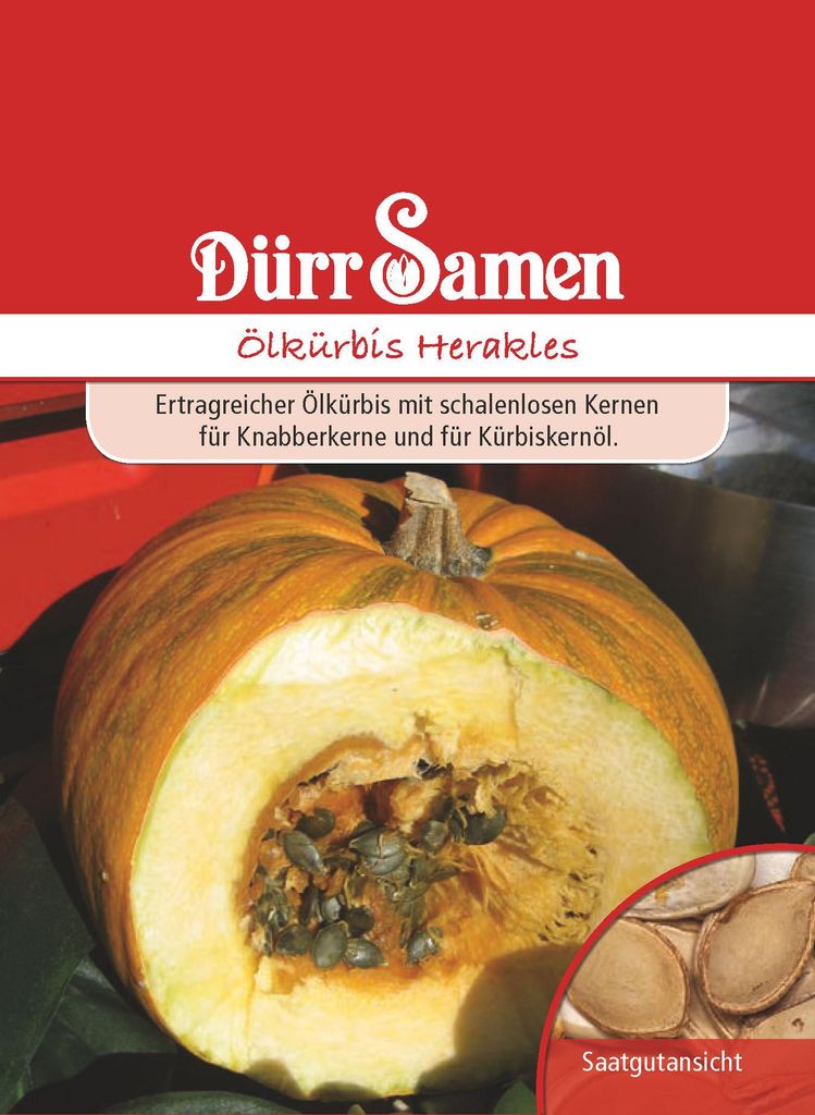 Ölkürbis Herakles | Ölkürbissamen von Dürr Samen Produktbild 
