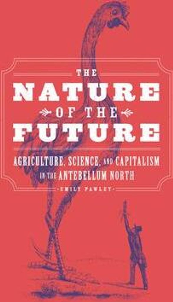 The Nature of the Future