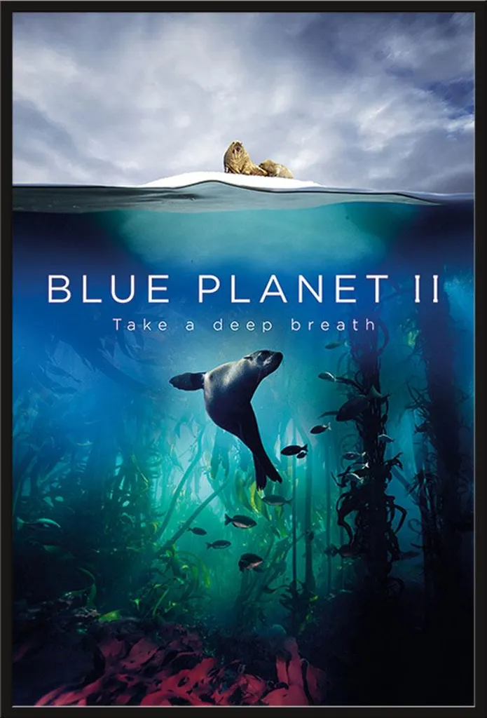 Poster encadré Blue Planet II Deep Breath paysage sous-marin format géant