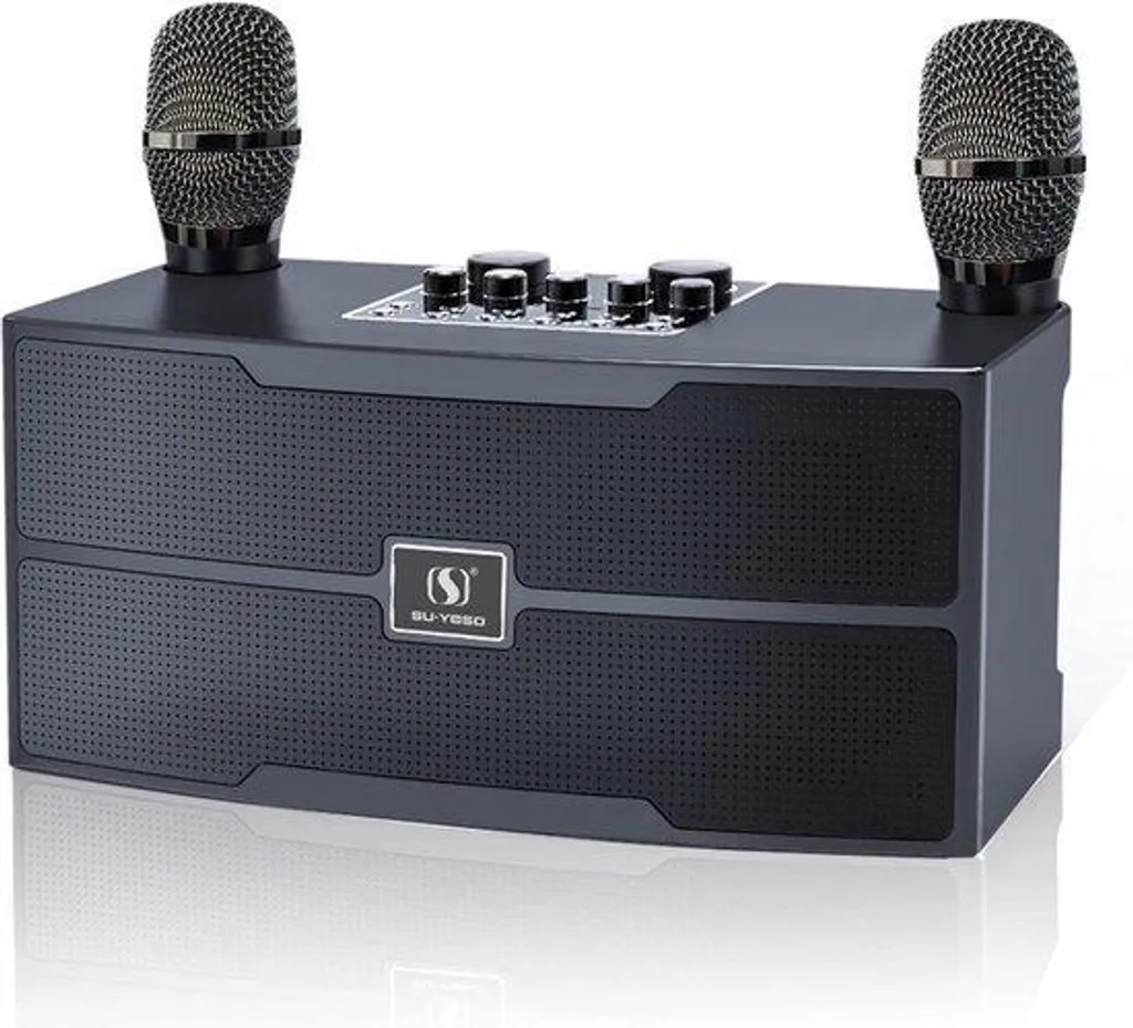 Enceinte Karaoké Bluetooth Portable et Modulateur de Voix Amusant