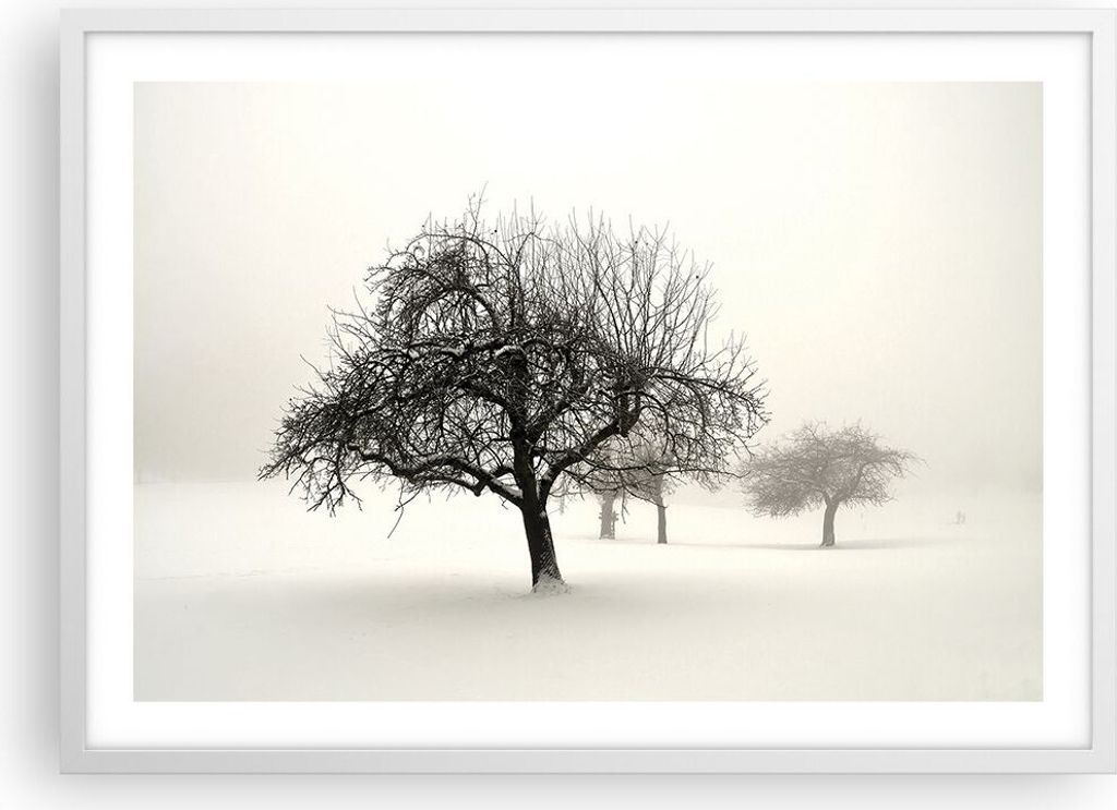 Gerahmtes Poster - Weißer Rahmen - Bäume Schnee Nebel - 70x50 cm - Wand Bild - Wanddeko - Wandbilder - Kunstposter - Wandposter - Bilderrahmen - ...