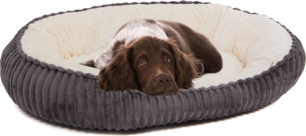 A brown and white puppy lying in a gray and cream dog bed.