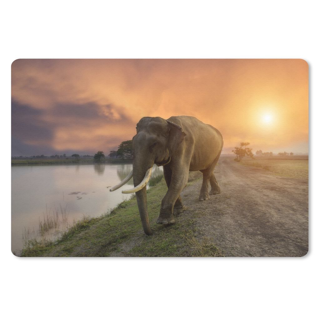 MuchoWow Schreibtischunterlage Elefant - Wasser - Tiere - Sonnenuntergang - Natur 60x40 cm - XXL Mauspad - Großes Mauspad