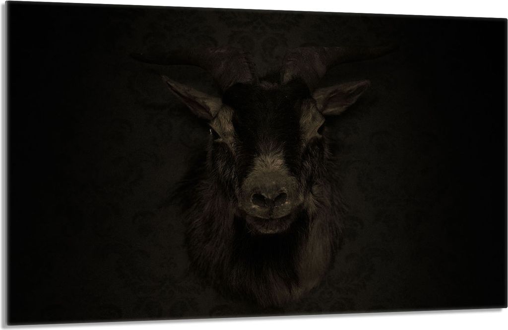 Glasschutzplatte für den Herd 80x52 Koza