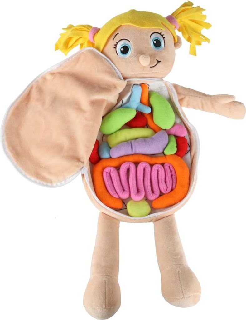 KIK KX2954 Bambola didattica – modello anatomico, bambina Immagine del prodotto 