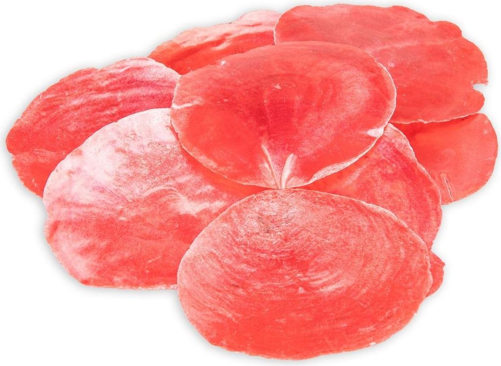 Camar-Perlmuttscheiben in vielen Farben wählbar, Packung mit 0,25kg | Bunte Perlmuttscheiben zum Basteln , Farbe:Rot